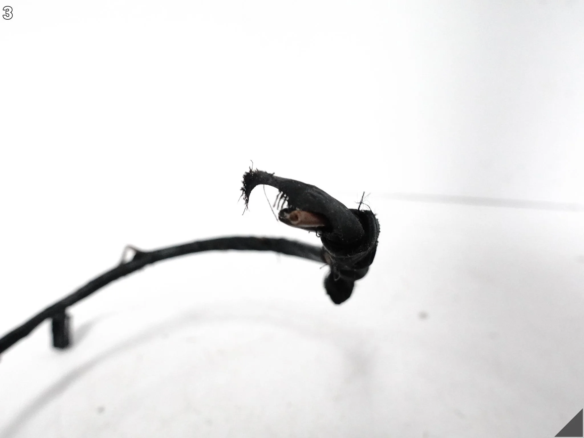 BMW 6 G32 GT GRAN TURISMO 17-23 WZMACNIACZ ANTENOWY INSTALACJA W KLAPĘ TYŁ BMW 6 G32 GT GRAN TURISMO 17-23 WZMACNIACZ ANTENOWY INSTALACJA W KLAPĘ TYŁ - obrazek 4
