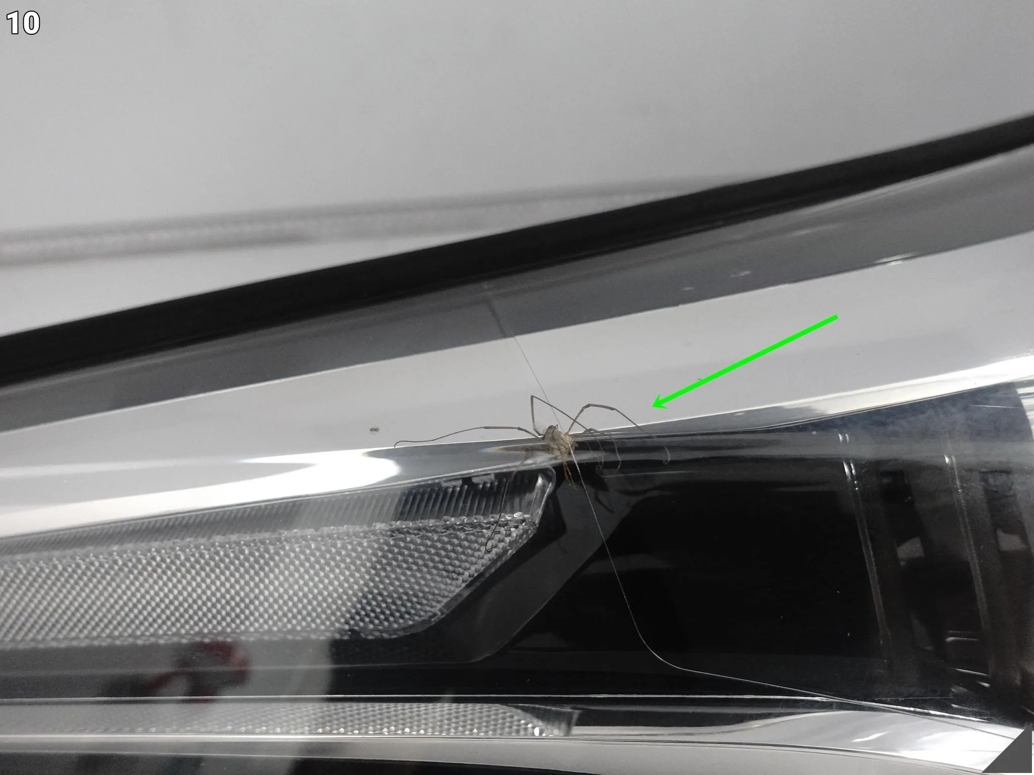 TOYOTA C-HR CHR 16-19 LAMPA ZWYKŁA SOCZEWKA + LED PRAWA PRZÓD EUROPA 07ff9d20154d4be299553876928639bd